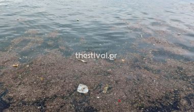 Θεσσαλονίκη: Γέμισε με σκουπίδια ο Θερμαϊκός – Δείτε βίντεο