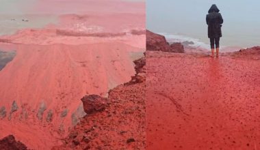 Ιράν: «Από την στιγμή που καταστρέψαμε το κέντρο ελέγχου καιρού των ΗΑΕ, βρέχει κάθε εβδομάδα πλέον»!