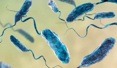 ΗΠΑ: Τον τρόμο έχει σπείρει «σαρκοφάγο» βακτήριο στα νερά του Long Island – Προκαλεί ακόμα και θάνατο