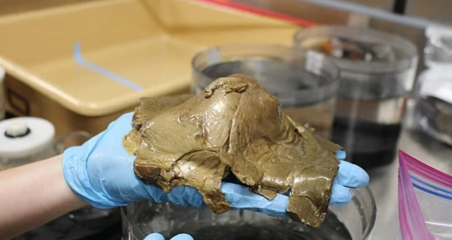 «Λύθηκε» το μυστήριο του «χρυσού αυγού» που εντοπίστηκε στα βάθη ωκεανού: Tι είναι τελικά;