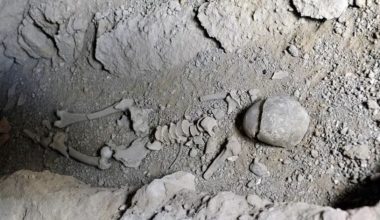 Η στιγμή που αφανίστηκε όλη η ανθρωπότητα… εκτός από 1.000 άτομα – Τι συνέβη;