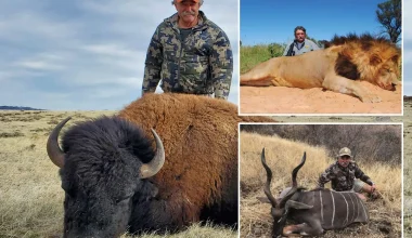 Φρικτό τέλος για Αμερικανό εκατομμυριούχο κυνηγό: Ποδοπατήθηκε μέχρι θανάτου από κοπάδι ελεφάντων στη Γκαμπόν