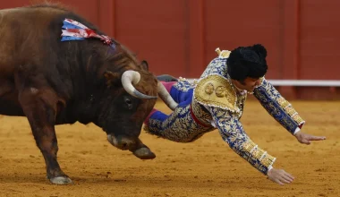 Ισπανία: Αναρρώνει ο «βασιλιάς των ταυρομάχων» – «Τρώω με καθετήρα και πονάω πολύ – Δεν έχω ξαναζήσει κάτι τέτοιο»