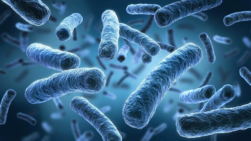 Επικίνδυνα βακτήρια εντοπίστηκαν σε ύδατα του Long Island: Τα θύματα πεθαίνουν μέσα σε 48 ώρες!