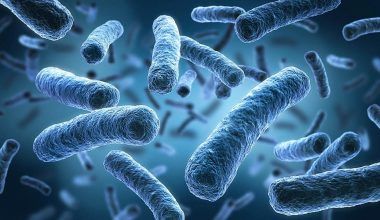 Επικίνδυνα βακτήρια εντοπίστηκαν σε ύδατα του Long Island: Τα θύματα πεθαίνουν μέσα σε 48 ώρες!