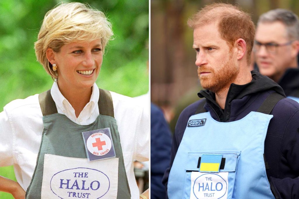 Κάν’το όπως η Νταϊάνα: Ο γιος της Χάρι περπάτησε σε ναρκοπέδιο της Ουκρανίας (βίντεο)