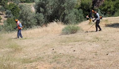 Μέχρι τις 15 Ιουνίου η προθεσμία για τα ακαθάριστα οικόπεδα – Ποιοι κινδυνεύουν με φυλάκιση!