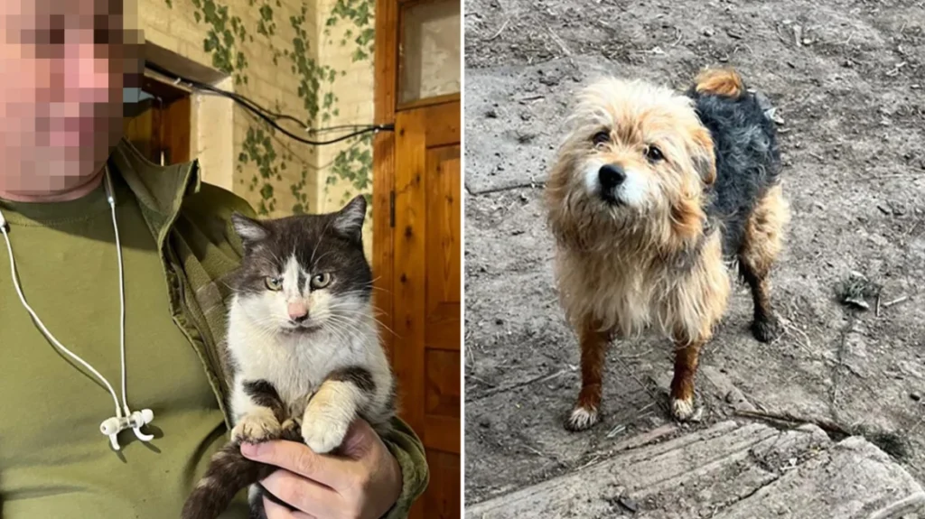 Ουκρανία: Γάτα και σκύλος παγιδεύτηκαν στην πρώτη γραμμή του πολέμου – Η διάσωση με drone που «έριξε» το διαδίκτυο