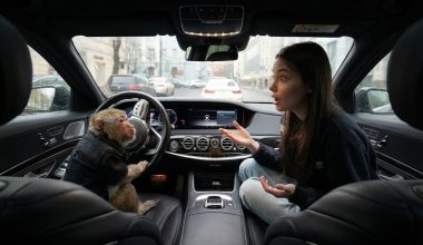 Το επικό βίντεο νεαρής Ρωσίδας που έγινε viral: Τσακώνεται με τη μαϊμού «σύντροφό» της μέσα σε πολυτελή Mercedes