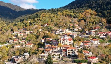 Ευρυτανία: Εντοπίστηκε χειροβομβίδα από τον Β’ Παγκόσμιο Πόλεμο έξω από το χωριό «Νόστιμο»