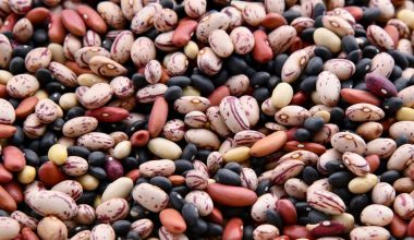 Τα οφέλη που έχουν τα όσπρια: Μειώνουν τη χοληστερόλη και τις φλεγμονές