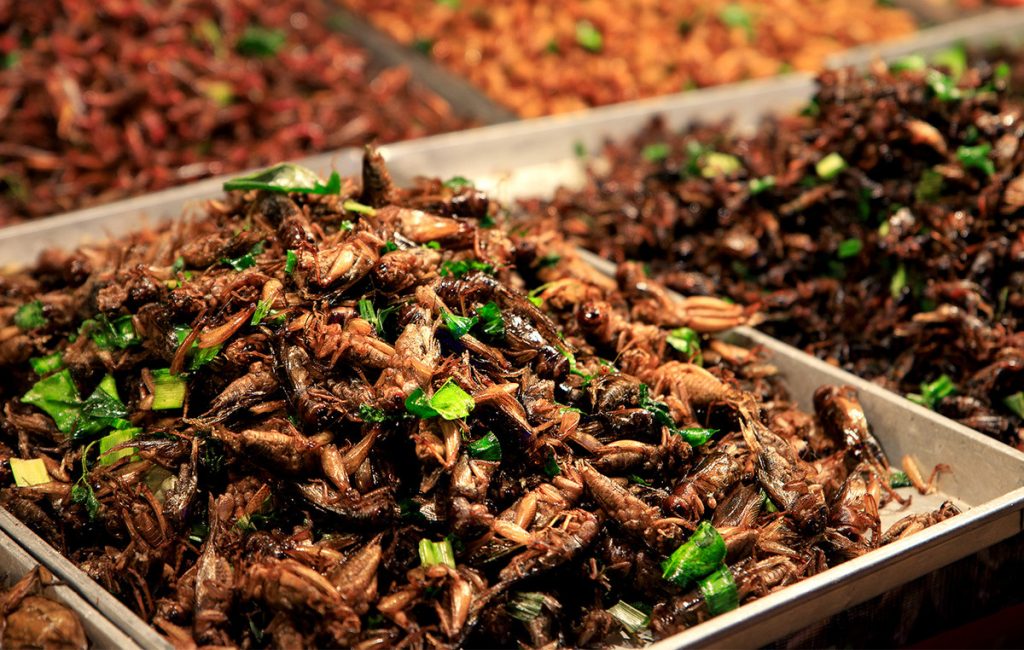 Ίσως μετά να μην θες να τα ξαναβάλεις στο στόμα σου: 16 αηδιαστικά συστατικά που υπάρχουν στα αγαπημένα σου τρόφιμα