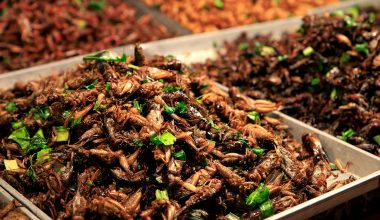 Ίσως μετά να μην θες να τα ξαναβάλεις στο στόμα σου: 16 αηδιαστικά συστατικά που υπάρχουν στα αγαπημένα σου τρόφιμα