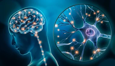 Μεγάλη ανακάλυψη: «Τύπωσαν» τεχνητούς νευρώνες που επικοινωνούν με πραγματικά εγκεφαλικά κύταρα!