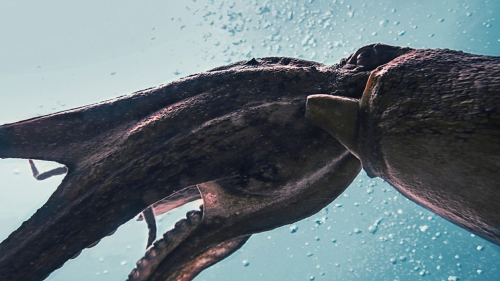 Tι αποκαλύπτει έρευνα για το τεράστιο χταπόδι που έτρωγε δεινόσαυρους πριν από 100 εκατ. χρόνια