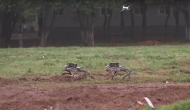 Κίνα: Ο Στρατός εκπαιδεύεται με ρομποτικά «σκυλιά» και επιθετικά drones!