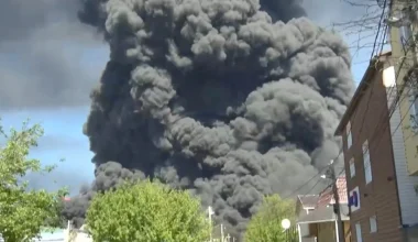 Οι Ουκρανοί καταστρέφουν το οικοσύστημα της Μαύρης Θάλασσας με τις «ευλογίες» της ΕΕ και της Βρετανίας!