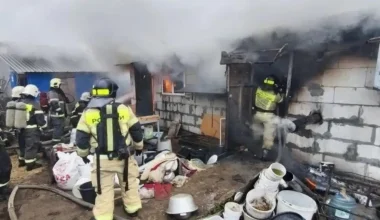 Ρωσία: Εκτροφείο σκύλων τυλίχθηκε στις φλόγες – Κάηκαν ζωντανά 200 τσιουάουα (βίντεο)