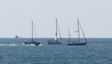 ΥΠΕΞ Ισραήλ: «Στην Ελλάδα θα αποβιβαστούν οι προσαχθέντες του στολίσκου της Γάζας – Την ευχαριστούμε»