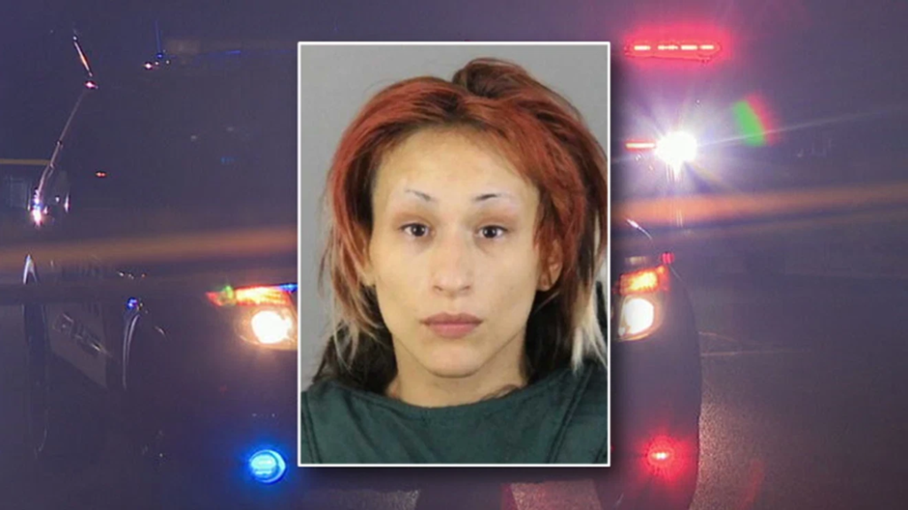 ΗΠΑ: 27χρονη σκότωσε τον σύντροφό της επειδή της πήγε φαγητό στο σπίτι – Εκείνη ήθελε να βγει έξω (βίντεο)