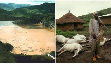 Το μυστηριώδες φαινόμενο που σκότωσε 1.800 ανθρώπους & χιλιάδες ζώα μέσα σε μια νύχτα στη λίμνη Νυός (βίντεο)