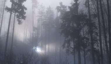 Η υπόθεση του Ρέντεσλαμ: Το περιστατικό με ATIA που παραμένει ανεξήγητο μέχρι και σήμερα (βίντεο)