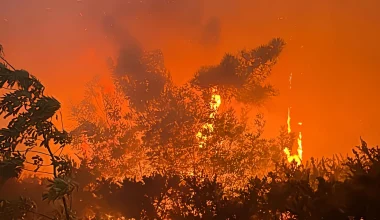 Πύρινη λαίλαπα στην Τοσκάνη: Εκκενώθηκαν 3.000 σπίτια – Φωτιές καίνε ασταμάτητα σε δάσος (βίντεο)