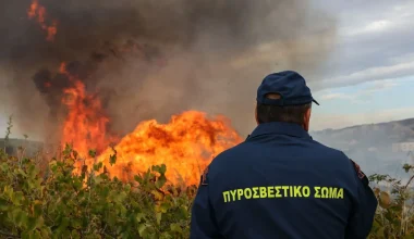 Πάτρα: Πυρκαγιά κοντά στις εγκαταστάσεις της Pirelli (βίντεο)