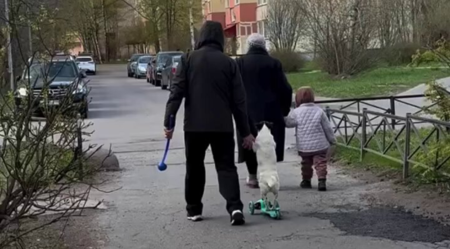 Όχι δεν είναι Al: Σκύλος στη Ρωσία οδηγά… πατίνι – Δείτε το επικό βίντεο