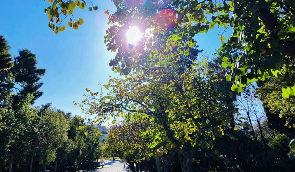 Από το κρύο στο… καλοκαίρι: Στους 27 βαθμούς Κελσίου θα «σκαρφαλώσει» η θερμοκρασία στο τέλος της εβδομάδας