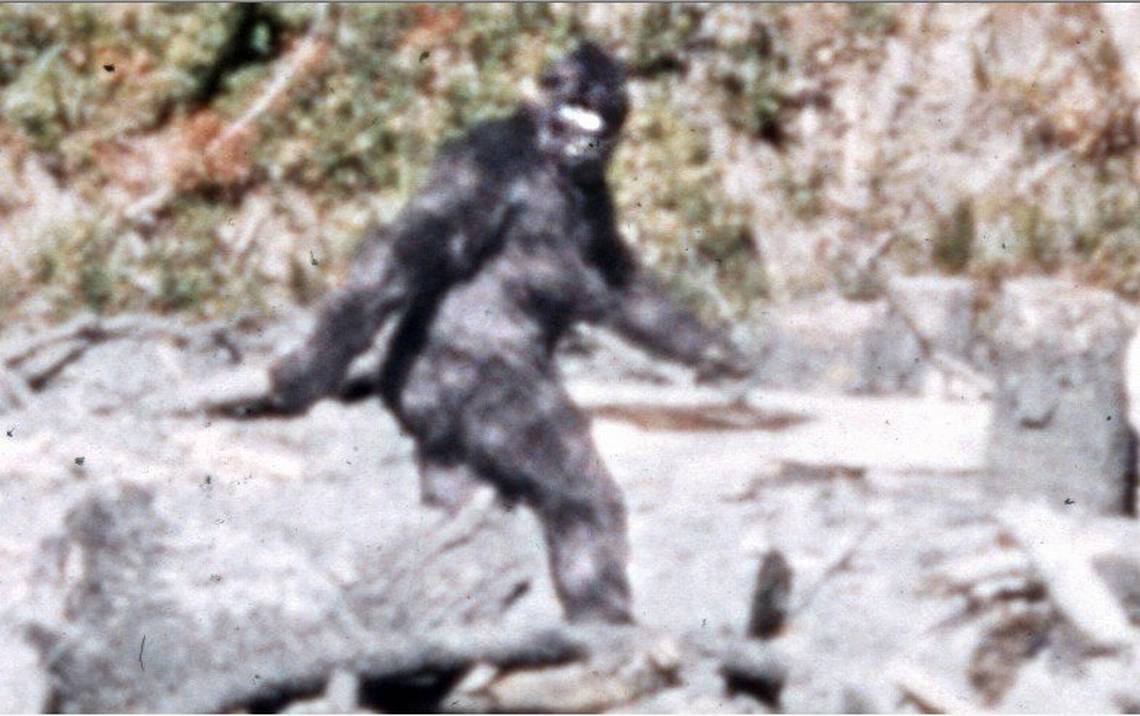 Οχάιο: Mαρτυρίες για «πλάσμα τύπου Bigfoot» προκαλούν ανησυχία – «Ξέρω τι είδα»