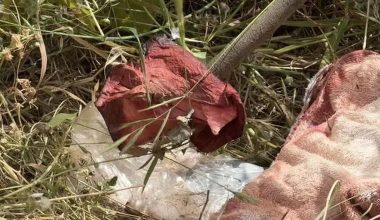 Ηράκλειο: «Τη βρήκα αιμόφυρτη στον δρόμο»: Τι κατέθεσε η μητέρα της 28χρονης