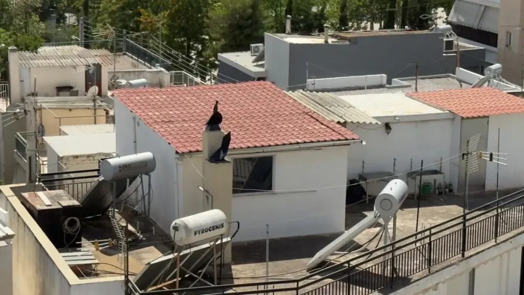«Δεν καταλάβαινα αν τα παιδιά ήταν αγόρια ή κορίτσια»: Συγκλονίζουν οι μαρτυρίες για την οικογένεια στο Περιστέρι
