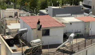 «Δεν καταλάβαινα αν τα παιδιά ήταν αγόρια ή κορίτσια»: Συγκλονίζουν οι μαρτυρίες για την οικογένεια στο Περιστέρι