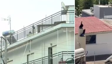 Περιστέρι: Φυλάκιση 16 μηνών στους γονείς που ζούσαν σε σπίτι «τρώγλη» με τα παιδιά τους – «Να πάνε κάπου καλύτερα»