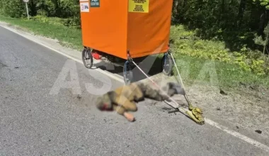 Οι Ουκρανοί σκότωσαν τον «Σάσα Χορς» τον Ρώσο ταξιδιώτη που ήθελε να περπατήσει μέχρι την Ν.Αμερική τραβώντας ένα τροχόσπιτο!