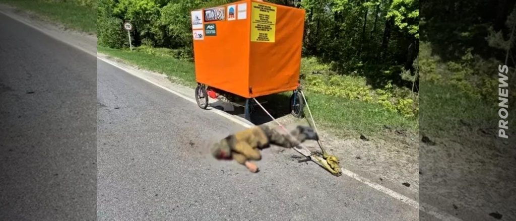 Οι Ουκρανοί σκότωσαν τον «Σάσα Χορς» τον Ρώσο ταξιδιώτη που ήθελε να περπατήσει μέχρι την Ν.Αμερική τραβώντας ένα τροχόσπιτο!