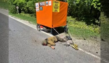 Οι Ουκρανοί σκότωσαν τον «Σάσα Χορς» τον Ρώσο ταξιδιώτη που ήθελε να περπατήσει μέχρι την Ν.Αμερική τραβώντας ένα τροχόσπιτο!