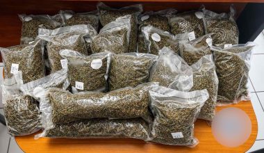 Χειροπέδες σε αλλοδαπό στη Θεσσαλονίκη για κατοχή και διακίνηση κάνναβης (φωτο)