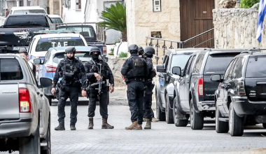 Σπείρα εκβιασμών στην Κρήτη: Έκοψαν με αλυσοπρίονα 134 ελιές αγρότη που αρνήθηκε να παραδώσει το χωράφι του