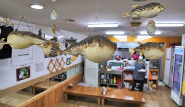 Μια μπουκιά μπορεί να αποβεί μοιραία: Η κορεατική σούπα για το χανγκόβερ που μπορεί να προκαλέσει θάνατο