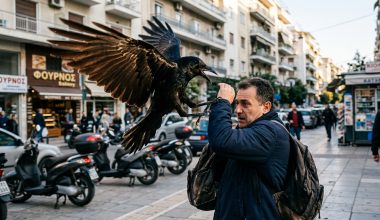 Θεσσαλονίκη: Τρεις τραυματίες μετά από επίθεση από κοράκι!