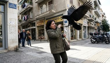 Θεσσαλονίκη: Τρεις τραυματίες μετά από επίθεση από κοράκι!