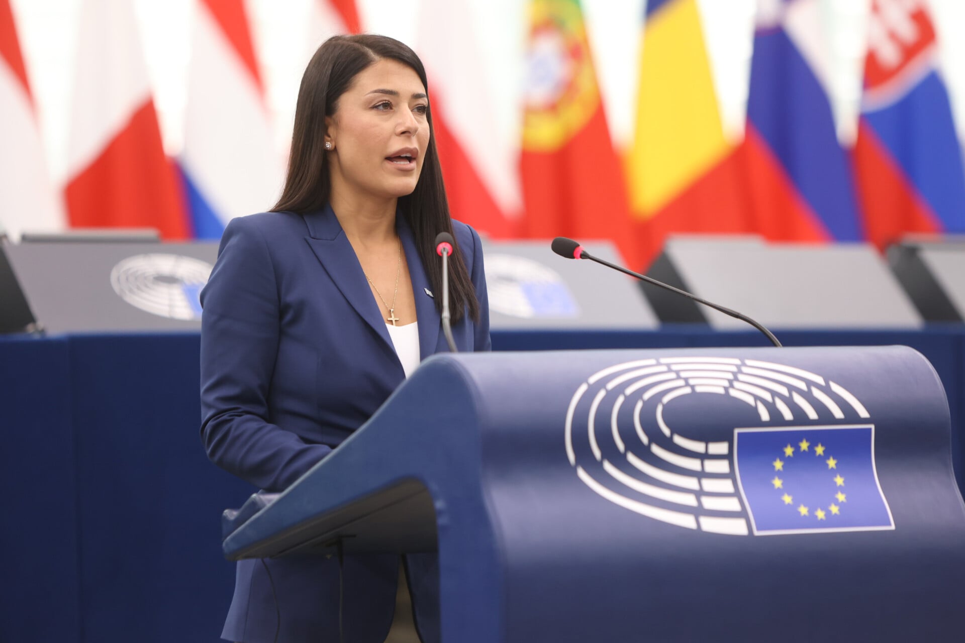 Διεθνής πρωτοβουλία της Α.Λατινοπούλου για την αντιμετώπιση του αφηγήματος «Γαλάζια Πατρίδα» (φωτογραφίες)