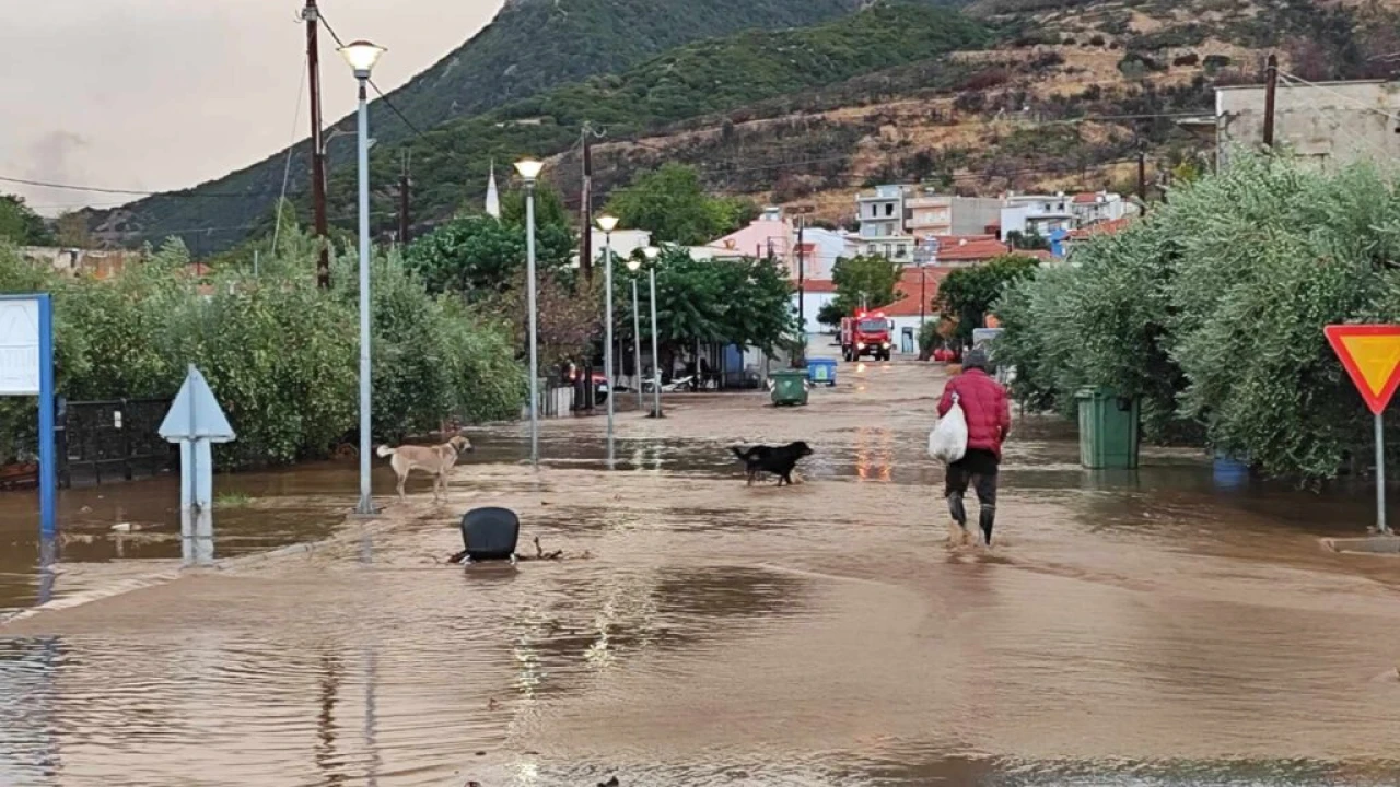 Σφοδρή βροχόπτωση έπληξε το Ηράκλειο: «Ποτάμια» οι δρόμοι στον Τσούτσουρα (βίντεο)