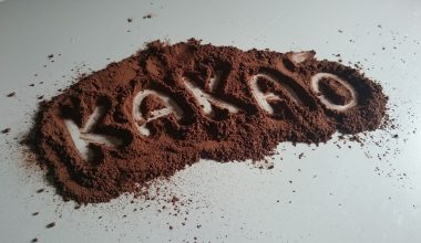 Τα οφέλη του κακάο για την υγεία: Οι ιδιότητες που έχει για καρδιά, εγκέφαλο και μεταβολισμό