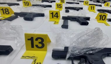 Οργή στην ΕΛΑΣ: Τούρκοι έφερναν ανενόχλητοι όπλα στη Θράκη – Κατασχέθηκαν 25 πιστόλια και γεμιστήρες (φωτογραφίες)