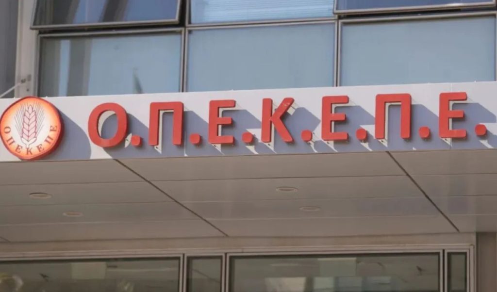 Κρήτη: Έτσι δρούσε το κύκλωμα με τα 3 εκατ. ευρώ από παράνομες επιδοτήσεις του ΟΠΕΚΕΠΕ – Δύο λογιστές οι αρχηγοί