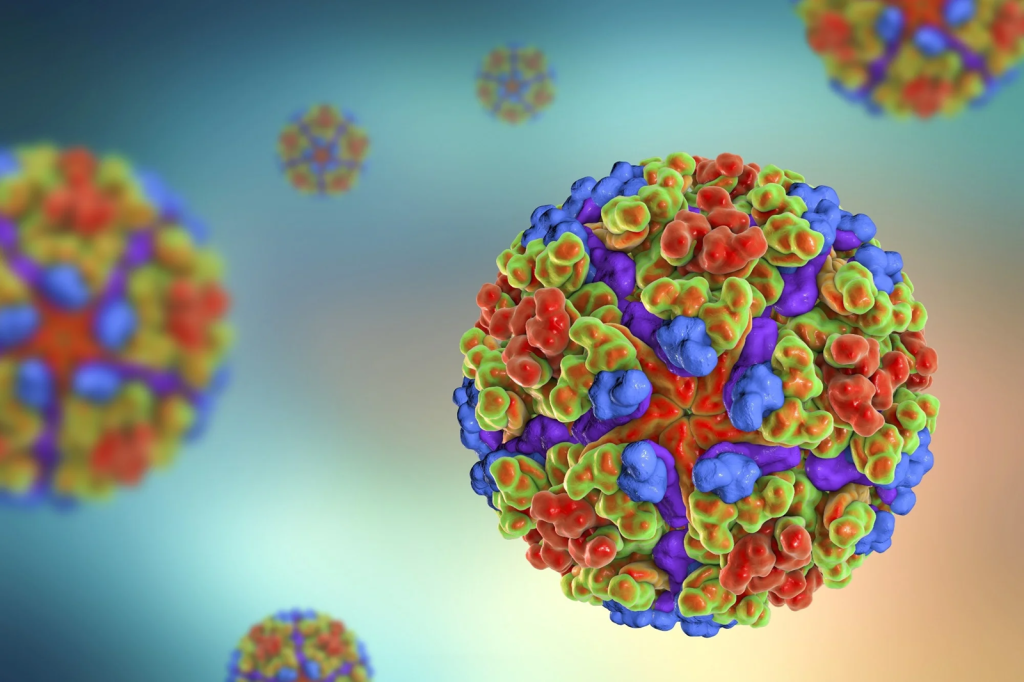 Chikungunya: Ο ιός που απειλεί την Ευρώπη – Πώς μεταδίδεται και ποια τα συμπτώματά του