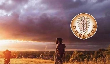 ΟΠΕΚΕΠΕ: Η ΔΑΟΕ έχει εξαρθρώσει πέντε μέχρι τώρα μεγάλες συμμορίες που δρούσαν υπό κυβερνητική κάλυψη